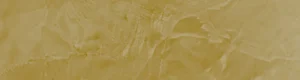 MEV001 (1)